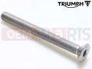 Triumph 1992 TRIDENT Vis (M6x60)