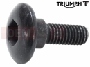 Triumph 2017 THRUXTON R Schraube (M5x16)