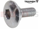 Triumph 2019 THRUXTON Šroub (M5x14)