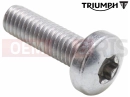 Triumph 2010 SPEEDMASTER EFI Csavar