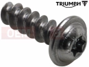 Triumph 2003 TROPHY 29156 > Csavar (5x16)