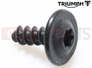 Triumph 2023 Thruxton RS Šroub (4x1)