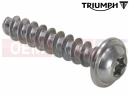 Triumph 2015 THUNDERBIRD COMMANDER Screw, S/Tap, THF, 5 x 25