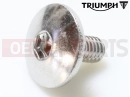Triumph 2012 SPEEDMASTER EFI Csavar (M6x1.0x12)