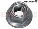 Triumph 2014 THUNDERBIRD LT Locknut, Flanged, M8 x 1.25