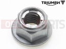 Triumph 2005 SPEED FOUR Locknut, Flgd, M5