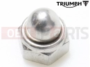 Triumph 2019 THRUXTON R Domenut, Locking, M6