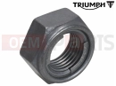 Triumph 2004 SPEEDMASTER CARBS Locknut, Thin, M16