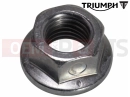 Triumph 2008 THRUXTON 900 EFI Locknut, Flanged, M10