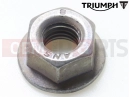 Triumph 2000 ADVENTURER Nut, Flanged, M8, Silver