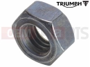 Triumph 2026 TRIDENT 660cc CN4040 > Nut, M8, Silver