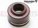Triumph 2002 THUNDERBIRD Oil Seal