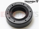 Triumph 2002 THUNDERBIRD Oil Seal