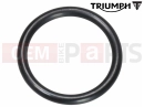 Triumph 1996 SPEED TRIPLE (CARBS) O-Ring