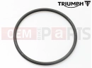 Triumph 2007 THRUXTON 900 CARBS O-Ring
