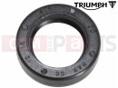 Triumph 2023 Thruxton RS Dust Seal