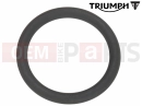 Triumph 2018 SPRINT GT O-Ring