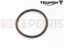 Triumph 2008 SPRINT ST 208167 > O-Ring
