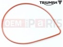 Triumph 2000 DAYTONA 595 / 955i Brtva