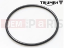 Triumph 2005 SPEED FOUR O Ring, 59.5 x 3.0