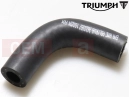 Triumph 2019 THRUXTON R Benzinschlauch (Formed) (E25)