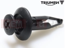 Triumph 2013 TROPHY 1215 Plastic Rivet, Screw Type