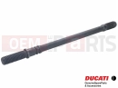 DUCATI 2020 Diavel Goujon