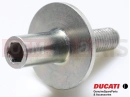 DUCATI 2022 Multistrada V2 S Schraube (adjuster)