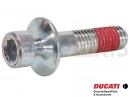 DUCATI 2020 Multistrada 1260 Pikes Peak Vis (spec)