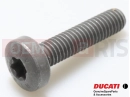 DUCATI 2023 Panigale V4 S Schraube