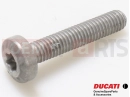 DUCATI 2023 Multistrada V2 Vis