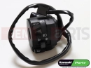KAWASAKI 2019 Handlebar switch Links