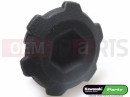 KAWASAKI 2019 Plug