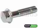 KAWASAKI 2011 Screw