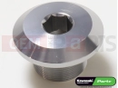 KAWASAKI 2021 BOLT,26MM