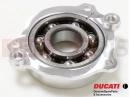 DUCATI 2025 Multistrada V4 S Ținând