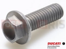 DUCATI 2022 Multistrada V4 5 PC - Schraube
