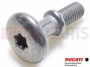 DUCATI 2022 Multistrada V4 S Full 2 buc. - Șurub (spec)