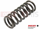 DUCATI 2021 Panigale V4 Spring