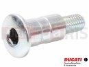 DUCATI 2004 998 Final Ed. Csavar (lever / brake)