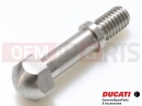 DUCATI 2021 Panigale V4 S .PIN