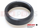 DUCATI 2024 Monster THERM. SEAL