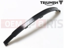 Triumph 2021 TRIDENT 660 Facing Blade, Tensioner
