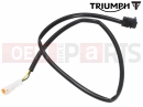 Triumph 2017 THRUXTON R Microswitch