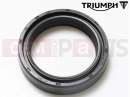 Triumph 2022 Trident 660 Semering vilice