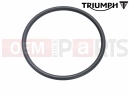 Triumph 2022 Trident 660 O-Ring