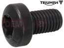 Triumph 2026 Trident 800 Vijak (M7x12)