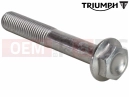 Triumph 2020 SPEED TWIN Csavar (M10x65)