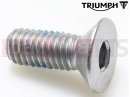 Triumph 2022 Trident 660 Vis (M6x16)