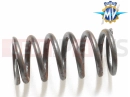 MV Agusta Dragster 800 RR CLUTCH SPRING